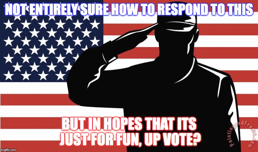 saluting soldier | NOT ENTIRELY SURE HOW TO RESPOND TO THIS BUT IN HOPES THAT ITS JUST FOR FUN, UP VOTE? | image tagged in saluting soldier | made w/ Imgflip meme maker