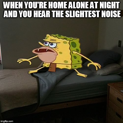 NOISES MAN... | WHEN YOU'RE HOME ALONE AT NIGHT AND YOU HEAR THE SLIGHTEST NOISE | image tagged in home alone,spongar | made w/ Imgflip meme maker