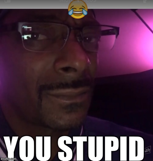 Snoop: "You Stupid" | YOU STUPID | image tagged in snoop dogg,snoop,stupid,eye roll | made w/ Imgflip meme maker