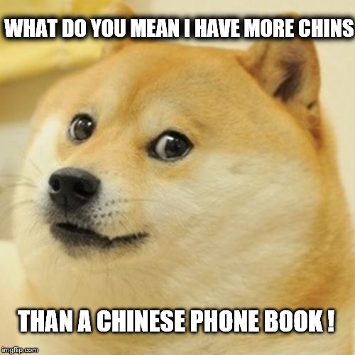Doge Meme | WHAT DO YOU MEAN I HAVE MORE CHINS; THAN A CHINESE PHONE BOOK ! | image tagged in memes,doge | made w/ Imgflip meme maker