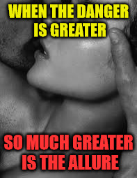 passion | WHEN THE DANGER IS GREATER; SO MUCH GREATER IS THE ALLURE | image tagged in passion | made w/ Imgflip meme maker