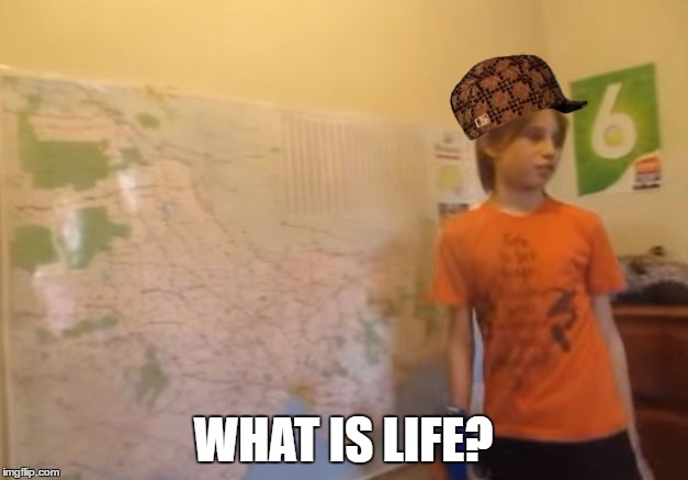 Skits, Bits and Nits | WHAT IS LIFE? | image tagged in scumbag,skits bits and nits | made w/ Imgflip meme maker