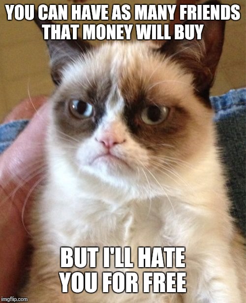 Grumpy Cat | YOU CAN HAVE AS MANY FRIENDS THAT MONEY WILL BUY; BUT I'LL HATE YOU FOR FREE | image tagged in memes,grumpy cat | made w/ Imgflip meme maker
