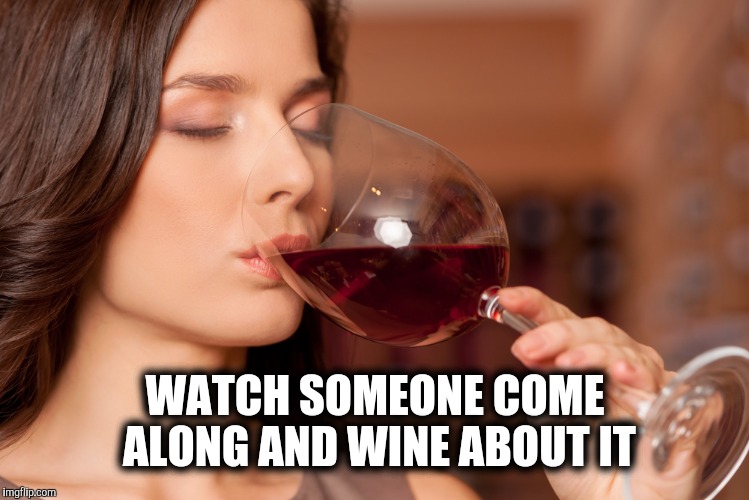 WATCH SOMEONE COME ALONG AND WINE ABOUT IT | made w/ Imgflip meme maker