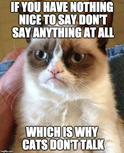 Meow is actually a cuss word in cat. | IF YOU HAVE NOTHING NICE TO SAY DON'T SAY ANYTHING AT ALL; WHICH IS WHY CATS DON'T TALK | image tagged in memes,grumpy cat,meow,nice to say,bacon | made w/ Imgflip meme maker