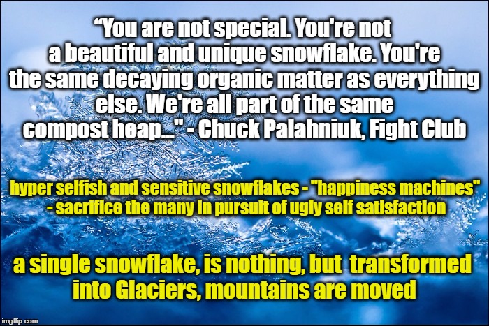 Glaciers, not Snowflakes | “You are not special. You're not a beautiful and unique snowflake. You're the same decaying organic matter as everything else. We're all part of the same compost heap..." - Chuck Palahniuk, Fight Club; hyper selfish and sensitive snowflakes - "happiness machines" - sacrifice the many in pursuit of ugly self satisfaction; a single snowflake, is nothing, but  transformed into Glaciers, mountains are moved | image tagged in snowflake,glacier,strength in unity | made w/ Imgflip meme maker