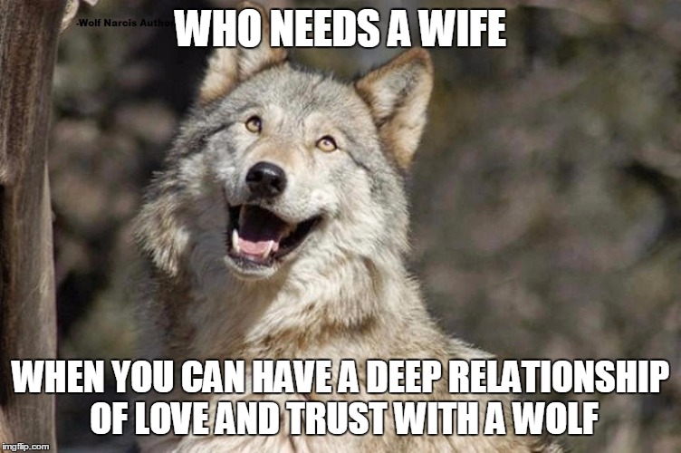 Optimistic Moon Moon Wolf Vanadium Wolf | WHO NEEDS A WIFE WHEN YOU CAN HAVE A DEEP RELATIONSHIP OF LOVE AND TRUST WITH A WOLF | image tagged in optimistic moon moon wolf vanadium wolf | made w/ Imgflip meme maker