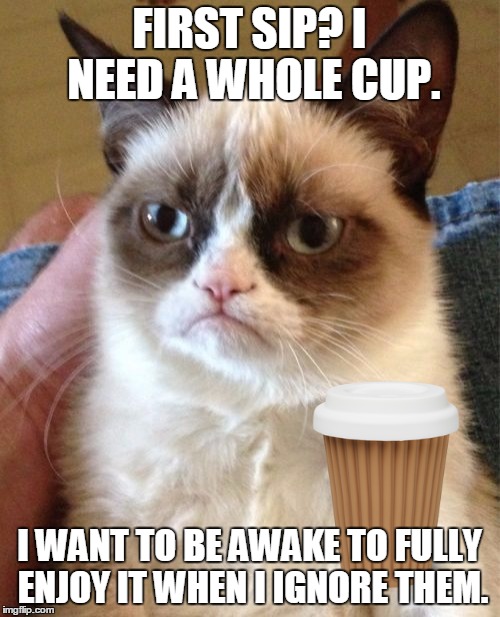 Grumpy Cat Meme | FIRST SIP? I NEED A WHOLE CUP. I WANT TO BE AWAKE TO FULLY ENJOY IT WHEN I IGNORE THEM. | image tagged in memes,grumpy cat | made w/ Imgflip meme maker