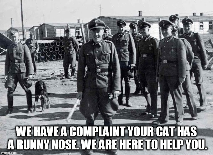 gestapo | WE HAVE A COMPLAINT YOUR CAT HAS A RUNNY NOSE. WE ARE HERE TO HELP YOU. | image tagged in gestapo | made w/ Imgflip meme maker