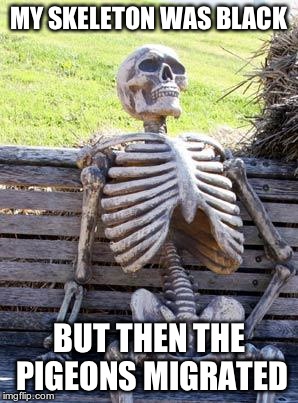 Waiting Skeleton Meme | MY SKELETON WAS BLACK; BUT THEN THE PIGEONS MIGRATED | image tagged in memes,waiting skeleton | made w/ Imgflip meme maker