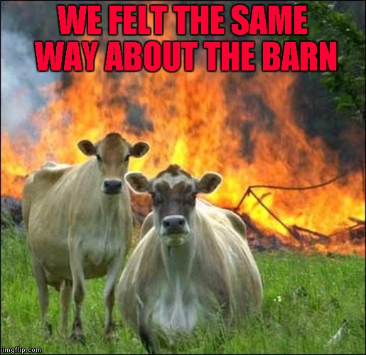 WE FELT THE SAME WAY ABOUT THE BARN | made w/ Imgflip meme maker