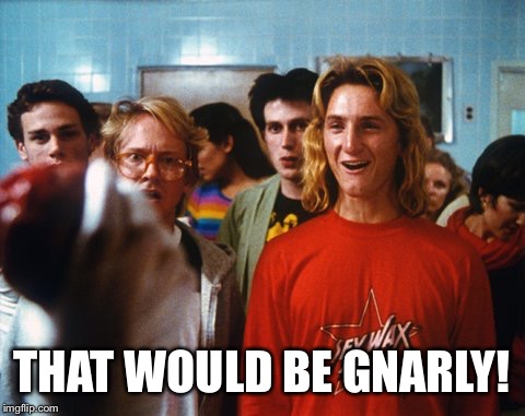 Fast times Spicoli | THAT WOULD BE GNARLY! | image tagged in fast times spicoli | made w/ Imgflip meme maker