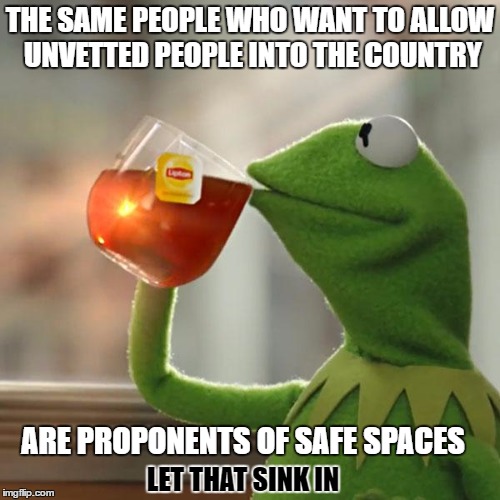 But That's None Of My Business | THE SAME PEOPLE WHO WANT TO ALLOW UNVETTED PEOPLE INTO THE COUNTRY; ARE PROPONENTS OF SAFE SPACES; LET THAT SINK IN | image tagged in memes,but thats none of my business,kermit the frog | made w/ Imgflip meme maker