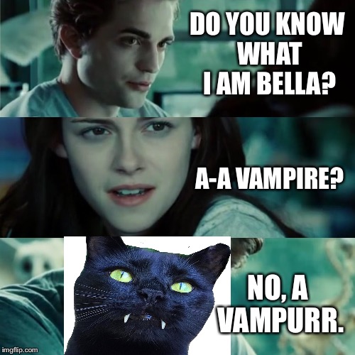 Edward The Vampurr  | DO YOU KNOW WHAT I AM BELLA? A-A VAMPIRE? NO, A VAMPURR. | image tagged in vampurr,edward,twilight,memes,funny | made w/ Imgflip meme maker