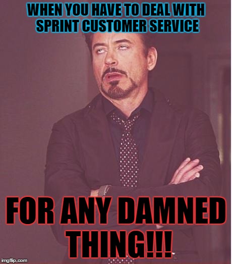 How fucking hard could account services be?! | WHEN YOU HAVE TO DEAL WITH SPRINT CUSTOMER SERVICE; FOR ANY DAMNED THING!!! | image tagged in memes,sprint,customer service | made w/ Imgflip meme maker