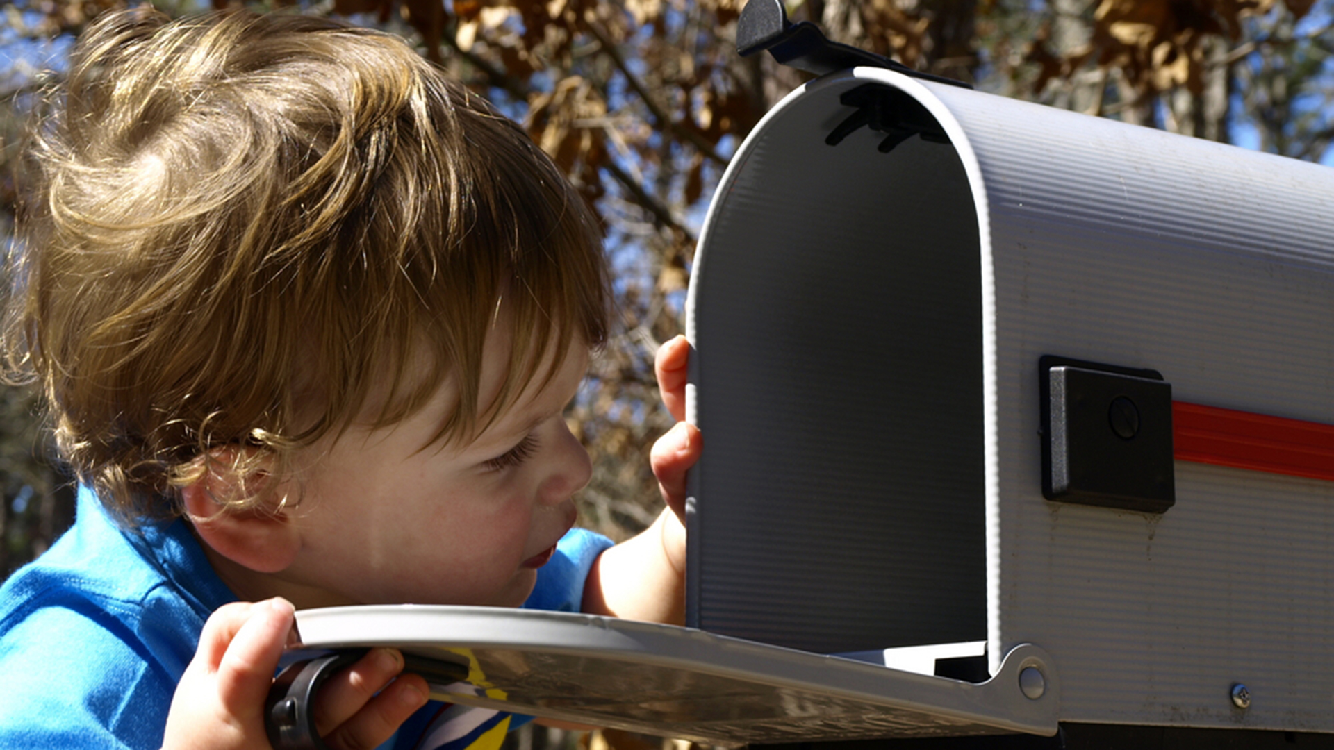 High Quality kid looking in mailbox Blank Meme Template