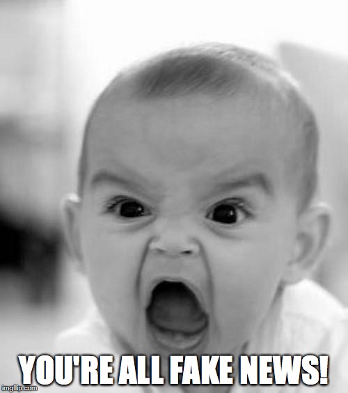 mad baby | YOU'RE ALL FAKE NEWS! | image tagged in mad baby,donald trump,fake news,crybaby,republicans,alt right | made w/ Imgflip meme maker