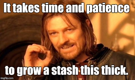 One Does Not Simply Meme | It takes time and patience to grow a stash this thick. | image tagged in memes,one does not simply | made w/ Imgflip meme maker