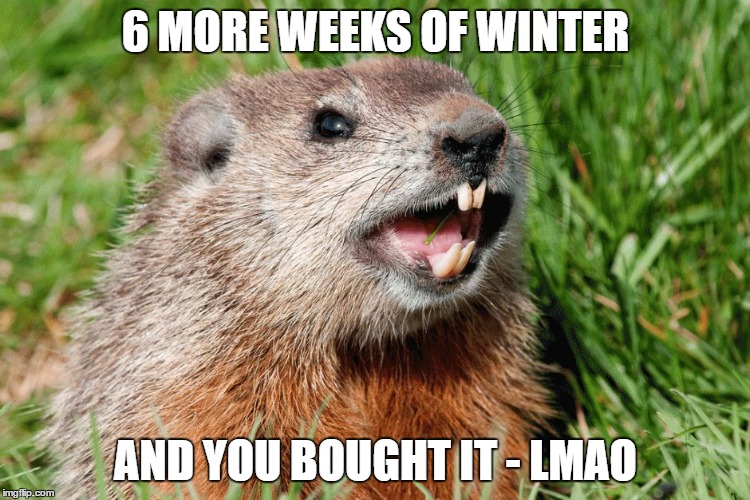 ayy lmao groundhog | 6 MORE WEEKS OF WINTER; AND YOU BOUGHT IT - LMAO | made w/ Imgflip meme maker