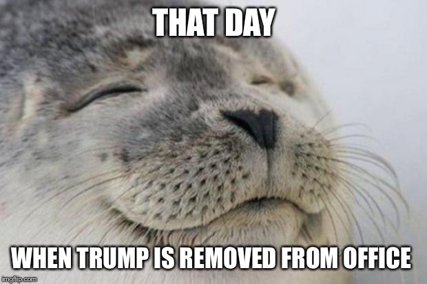 Happy Seal | THAT DAY; WHEN TRUMP IS REMOVED FROM OFFICE | image tagged in happy seal | made w/ Imgflip meme maker