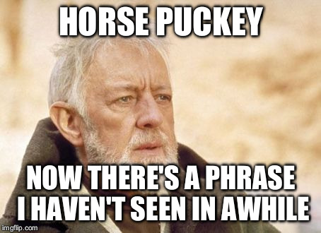 HORSE PUCKEY NOW THERE'S A PHRASE I HAVEN'T SEEN IN AWHILE | made w/ Imgflip meme maker