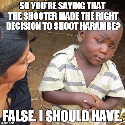 Third World Skeptical Kid Meme | SO YOU'RE SAYING THAT THE SHOOTER MADE THE RIGHT DECISION TO SHOOT HARAMBE? FALSE. I SHOULD HAVE. | image tagged in memes,third world skeptical kid | made w/ Imgflip meme maker