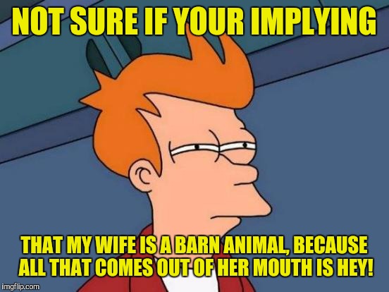 Futurama Fry Meme | NOT SURE IF YOUR IMPLYING THAT MY WIFE IS A BARN ANIMAL, BECAUSE ALL THAT COMES OUT OF HER MOUTH IS HEY! | image tagged in memes,futurama fry | made w/ Imgflip meme maker
