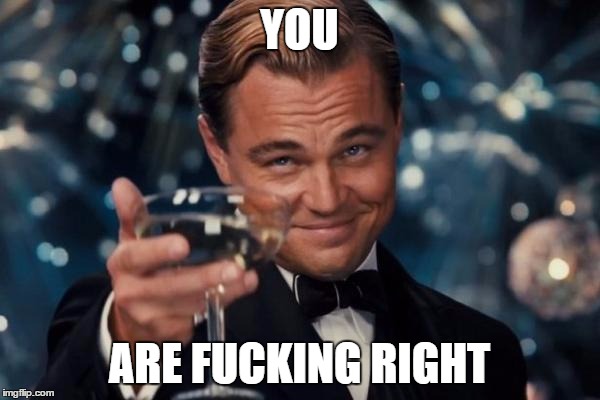 Leonardo Dicaprio Cheers Meme | YOU ARE F**KING RIGHT | image tagged in memes,leonardo dicaprio cheers | made w/ Imgflip meme maker