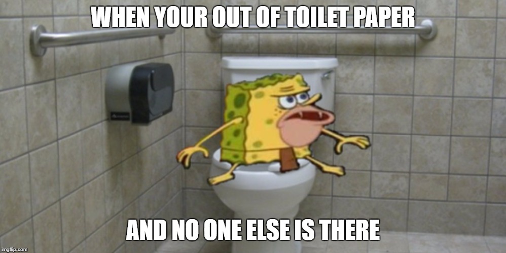 Spongegar | WHEN YOUR OUT OF TOILET PAPER; AND NO ONE ELSE IS THERE | image tagged in spongegar | made w/ Imgflip meme maker