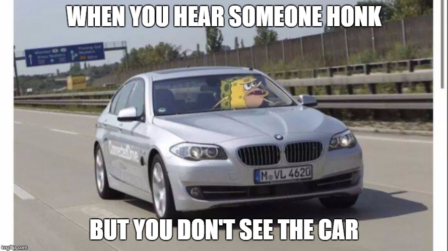 Spongegar | WHEN YOU HEAR SOMEONE HONK; BUT YOU DON'T SEE THE CAR | image tagged in spongegar | made w/ Imgflip meme maker