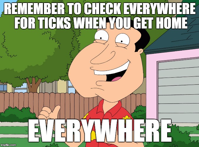 Quagmire Family Guy | REMEMBER TO CHECK EVERYWHERE FOR TICKS WHEN YOU GET HOME; EVERYWHERE | image tagged in quagmire family guy | made w/ Imgflip meme maker