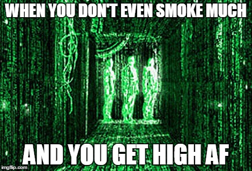 Matrix High | WHEN YOU DON'T EVEN SMOKE MUCH; AND YOU GET HIGH AF | image tagged in matrix,too damn high | made w/ Imgflip meme maker