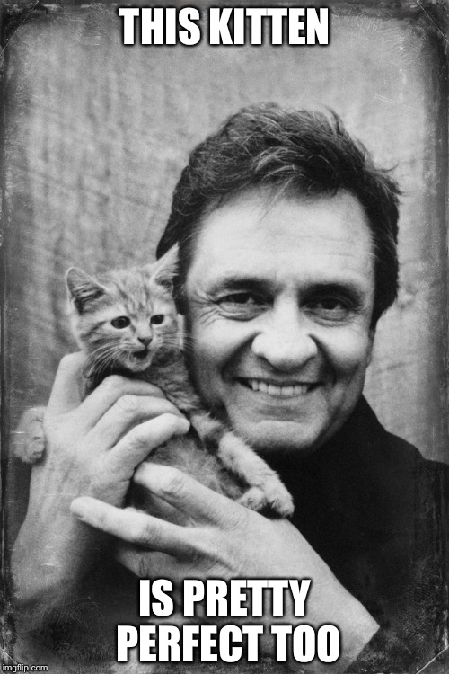 Johnny Cash Cat | THIS KITTEN IS PRETTY PERFECT TOO | image tagged in johnny cash cat | made w/ Imgflip meme maker