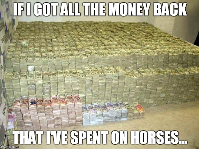 IF I GOT ALL THE MONEY BACK; THAT I'VE SPENT ON HORSES... | image tagged in money i spent on horses | made w/ Imgflip meme maker