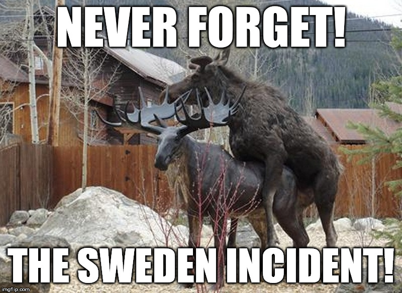 The Sweden Incident |  NEVER FORGET! THE SWEDEN INCIDENT! | image tagged in the sweden incident - moose humping statue,moose humping,moose,fuck,sweden incident,sweden | made w/ Imgflip meme maker