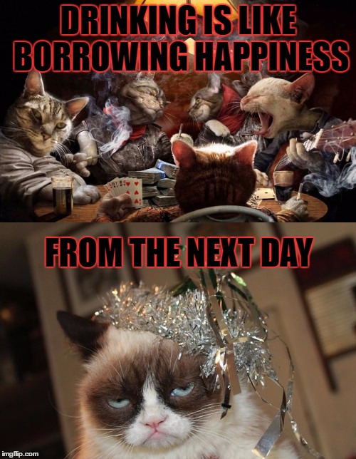 I really should stop borrowing happiness!! | DRINKING IS LIKE BORROWING HAPPINESS; FROM THE NEXT DAY | image tagged in meme,funny,drinking,party,cats,grumpy cat | made w/ Imgflip meme maker