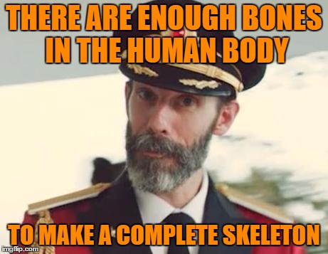 Captain Obvious | THERE ARE ENOUGH BONES IN THE HUMAN BODY; TO MAKE A COMPLETE SKELETON | image tagged in captain obvious | made w/ Imgflip meme maker