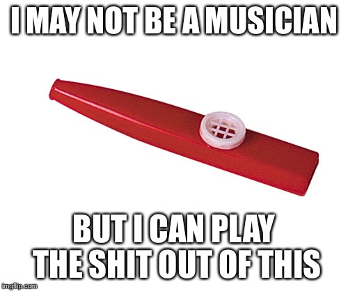 I take requests | I MAY NOT BE A MUSICIAN; BUT I CAN PLAY THE SHIT OUT OF THIS | image tagged in kazoo,epic,nsfw | made w/ Imgflip meme maker