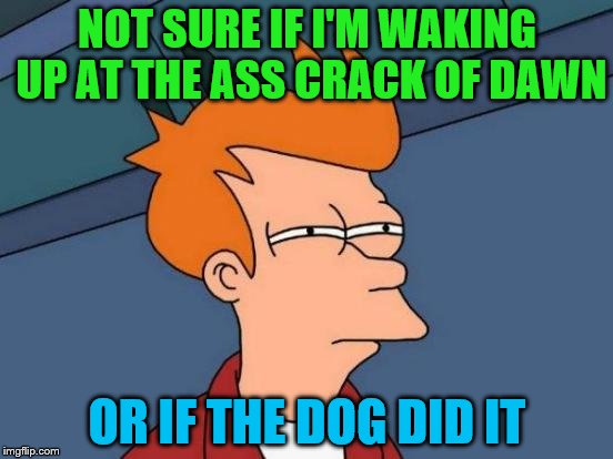 Aww Man! Who let one go! | NOT SURE IF I'M WAKING UP AT THE ASS CRACK OF DAWN; OR IF THE DOG DID IT | image tagged in memes,futurama fry | made w/ Imgflip meme maker
