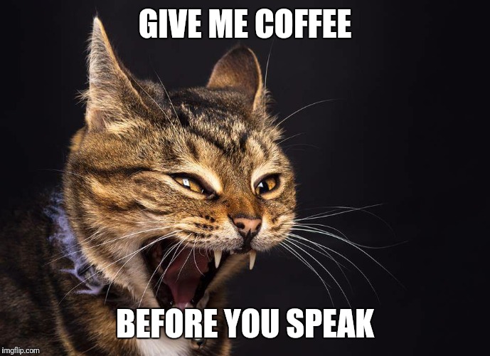 Give me coffee | GIVE ME COFFEE; BEFORE YOU SPEAK | image tagged in give me coffee | made w/ Imgflip meme maker