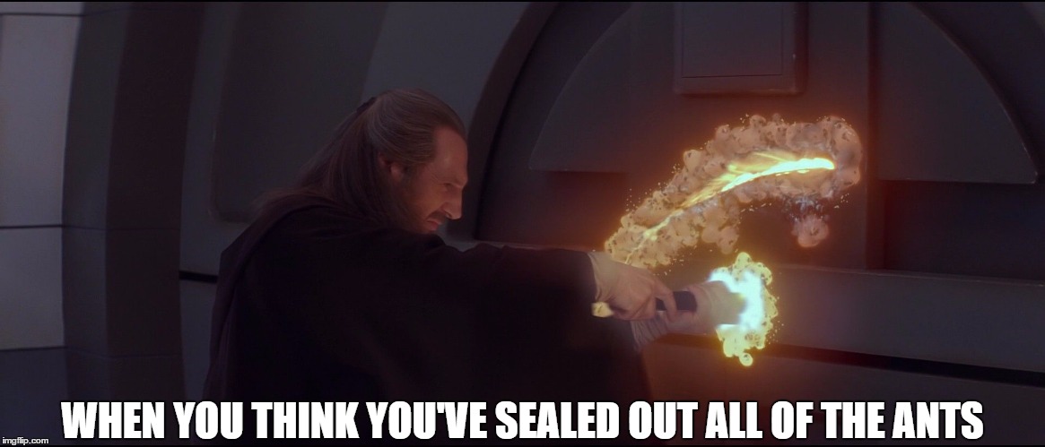 WHEN YOU THINK YOU'VE SEALED OUT ALL OF THE ANTS | image tagged in they're still coming through star wars,star wars,ants,lightsaber | made w/ Imgflip meme maker