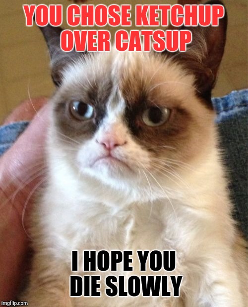 Grumpy Cat Meme | YOU CHOSE KETCHUP OVER CATSUP; I HOPE YOU DIE SLOWLY | image tagged in memes,grumpy cat | made w/ Imgflip meme maker