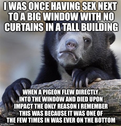 Confession Bear Meme | I WAS ONCE HAVING SEX NEXT TO A BIG WINDOW WITH NO CURTAINS IN A TALL BUILDING WHEN A PIGEON FLEW DIRECTLY INTO THE WINDOW AND DIED UPON IMP | image tagged in memes,confession bear | made w/ Imgflip meme maker