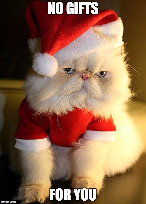 Santa Grumpy Cat | NO GIFTS; FOR YOU | image tagged in santa grumpy cat | made w/ Imgflip meme maker