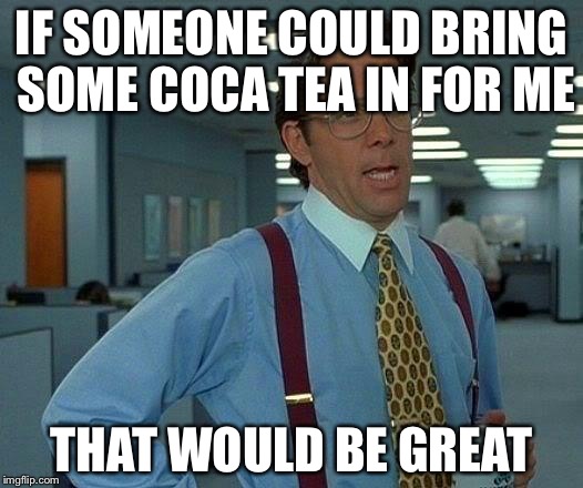 That Would Be Great Meme | IF SOMEONE COULD BRING SOME COCA TEA IN FOR ME THAT WOULD BE GREAT | image tagged in memes,that would be great | made w/ Imgflip meme maker