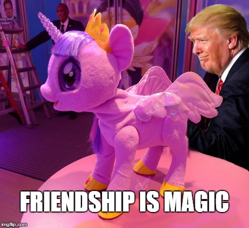 Friendship is Magic | FRIENDSHIP IS MAGIC | image tagged in mlp,twilight,buy our toys,trump,my little pony friendship is magic | made w/ Imgflip meme maker