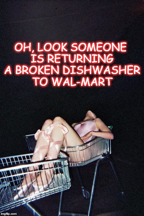 Broken Dishwasher | OH, LOOK SOMEONE IS RETURNING A BROKEN DISHWASHER TO WAL-MART | image tagged in i have a return,return,broken,dishwasher | made w/ Imgflip meme maker