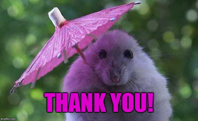 THANK YOU! | made w/ Imgflip meme maker