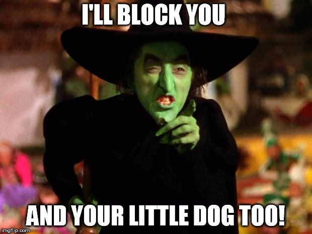 wicked witch  | I'LL BLOCK YOU; AND YOUR LITTLE DOG TOO! | image tagged in wicked witch | made w/ Imgflip meme maker