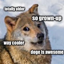 Doge, Older | totally older; so grown-up; way cooler; doge is awesome | image tagged in doge,older,old,funny,memes,funny memes | made w/ Imgflip meme maker